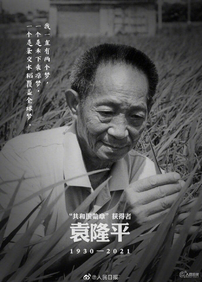 【沉痛】“杂交水稻之父”袁隆平院士逝世